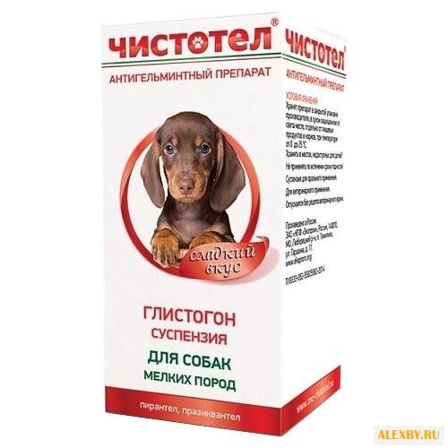 ЧИСТОТЕЛ Глистогон суспензия