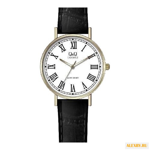Наручные часы Q&Q Q979 J816