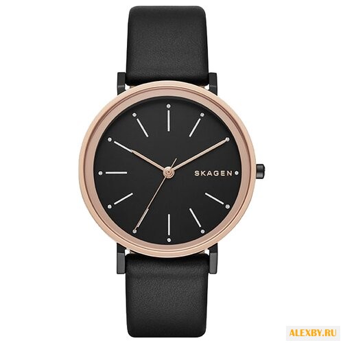Наручные часы SKAGEN SKW2490