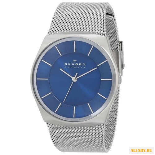 Наручные часы SKAGEN SKW6068