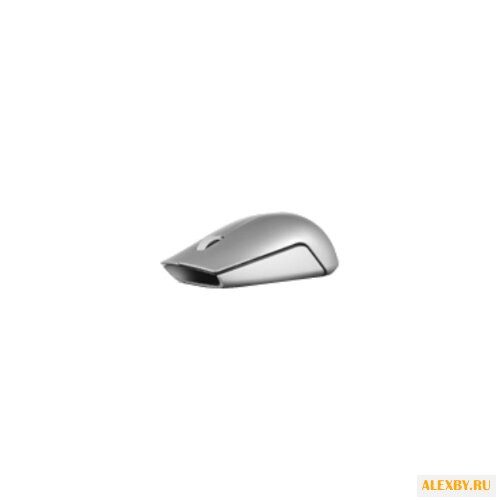 Мышь Lenovo GX30H55934 Silver USB