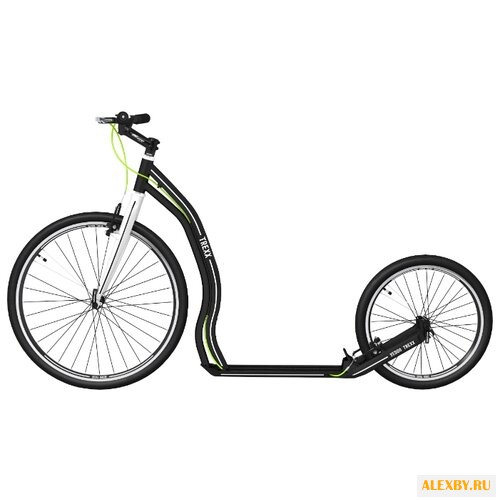 Футбайк Yedoo TREXX