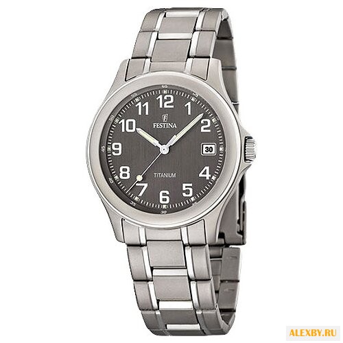 Наручные часы FESTINA F16458 2