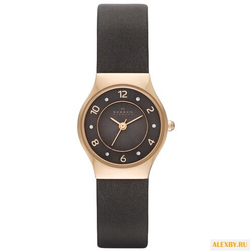 Наручные часы SKAGEN SKW2208