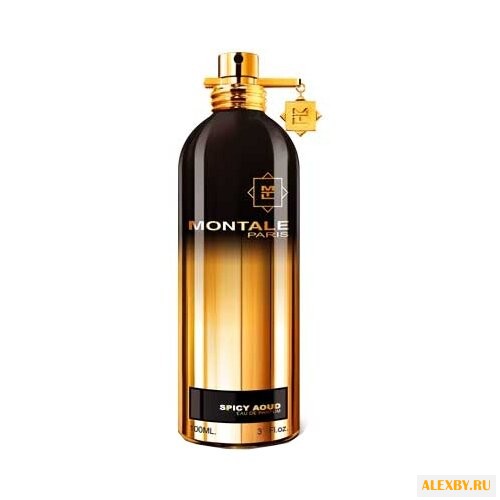 MONTALE Spicy Aoud