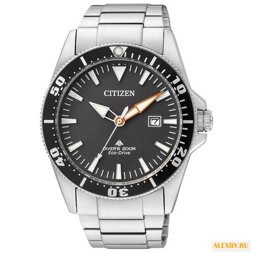 Наручные часы CITIZEN BN0100-51E