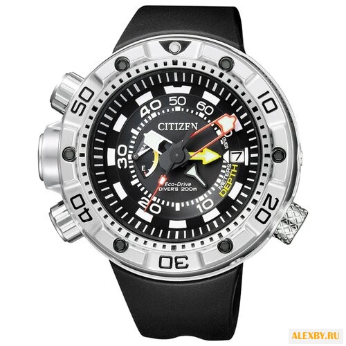 Наручные часы CITIZEN BN2021-03E