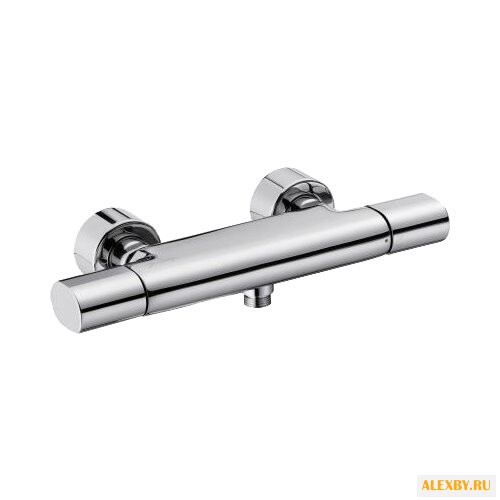 Двухрычажный смеситель для душа