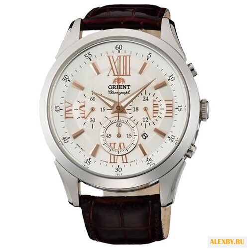 Наручные часы ORIENT TW04008W