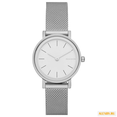 Наручные часы SKAGEN SKW2441