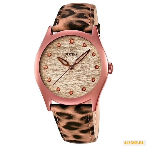 Наручные часы FESTINA F16649 4