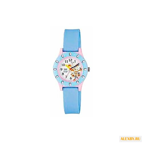 Наручные часы Q&Q VQ13 J006