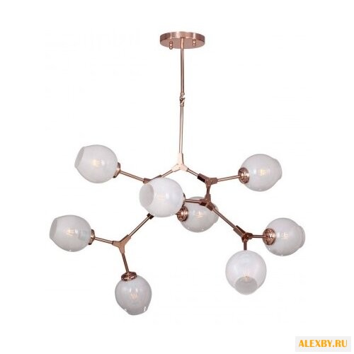 Favourite Bolos 1743-6P