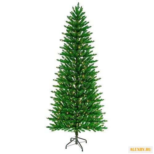 National Tree Company Ель