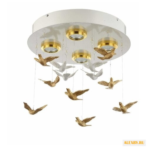 Favourite Rudel 1782-4U