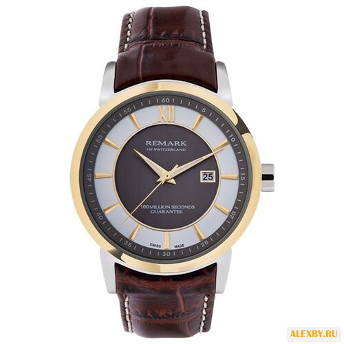 Наручные часы REMARK GR404.06.14