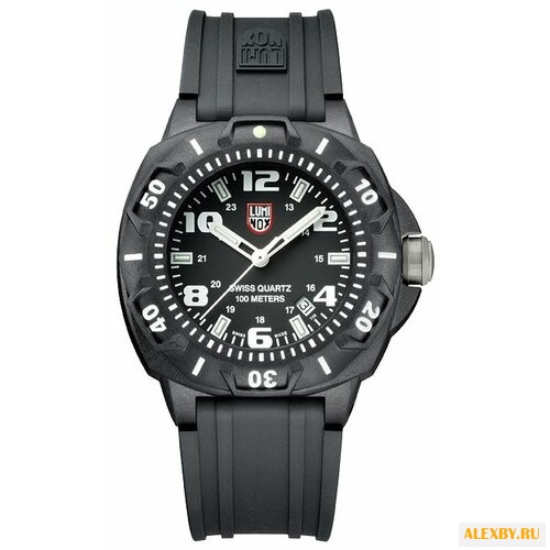 Наручные часы Luminox A.0201