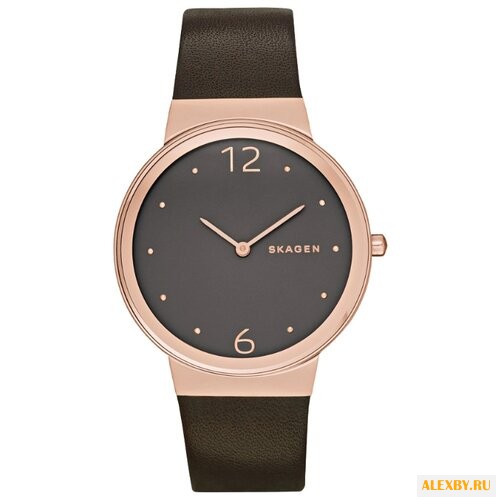 Наручные часы SKAGEN SKW2368