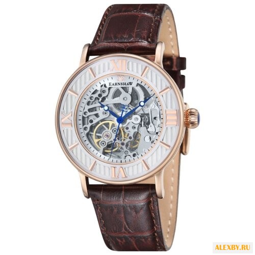 Наручные часы EARNSHAW ES-8038-03