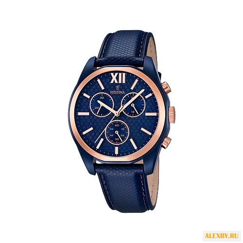 Наручные часы FESTINA F16862 1