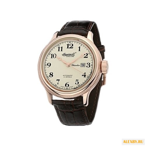 Наручные часы Ingersoll IN8004RCR