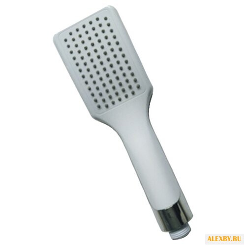 Лейка для душа Raiber RW35