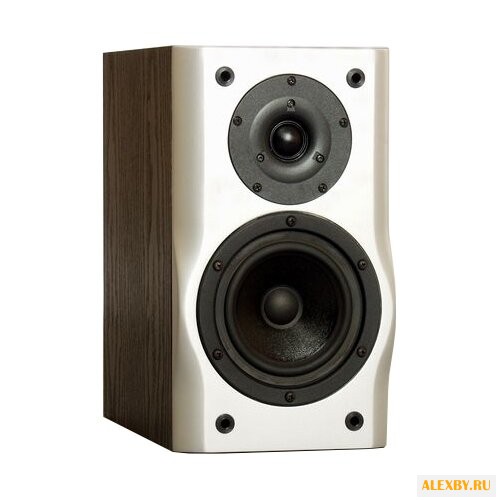 Акустическая система