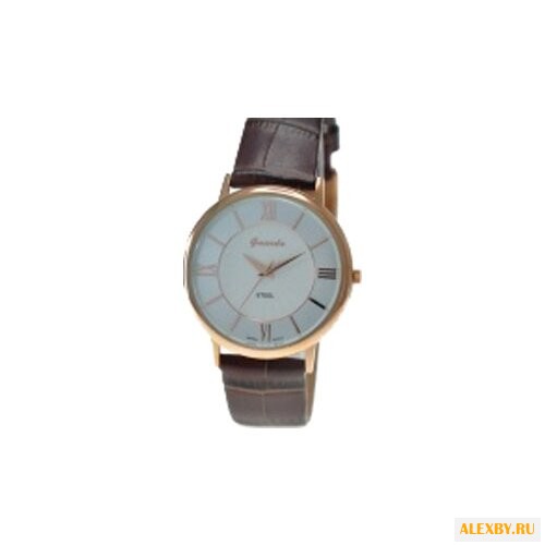 Наручные часы Guardo S0549A.8