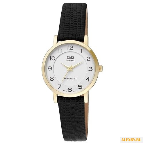 Наручные часы Q&Q Q945 J104