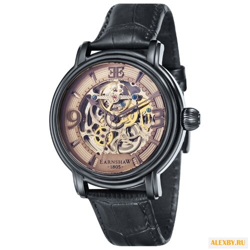 Наручные часы EARNSHAW ES-8011-08