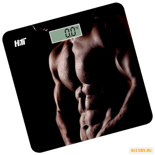 Весы HITT HT-6101