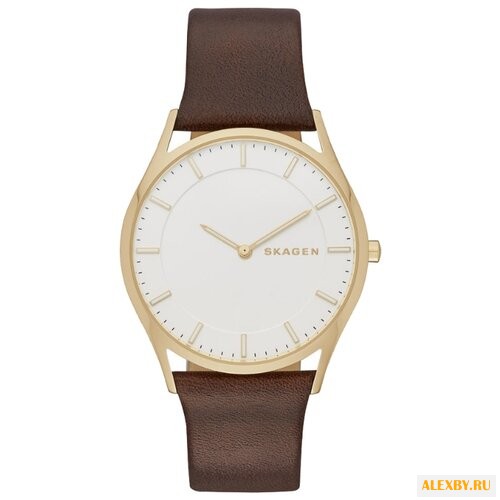 Наручные часы SKAGEN SKW6225