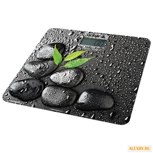 Весы Polaris PWS 1831DG Spa