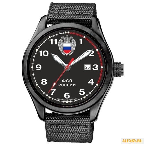 Наручные часы СПЕЦНАЗ С2864325-09