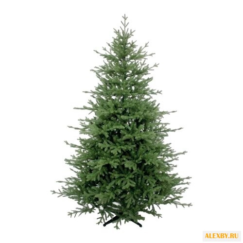 Christmas Market Scarlet