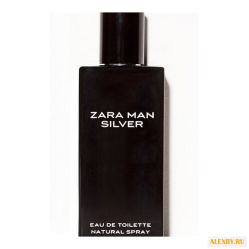 Zara Zara Man Silver