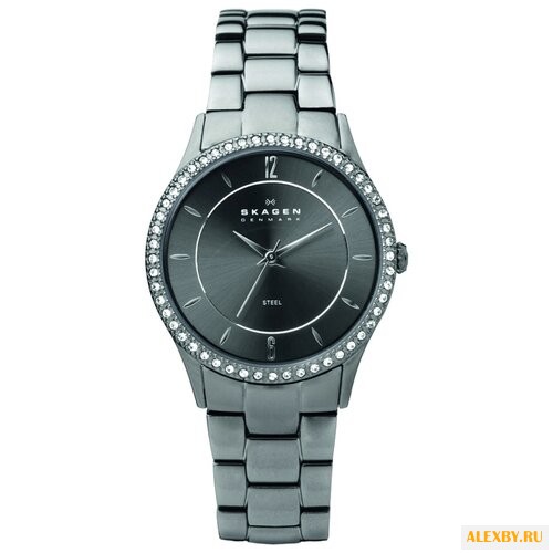 Наручные часы SKAGEN 347SMXM