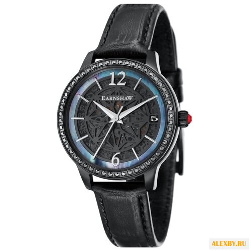 Наручные часы EARNSHAW ES-8064-03
