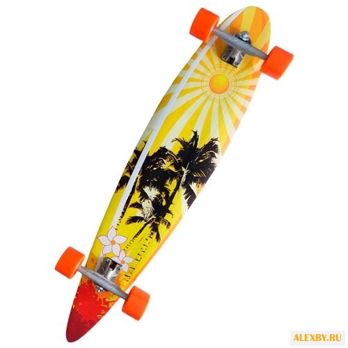 Лонгборд ATEMI ALB-1.13