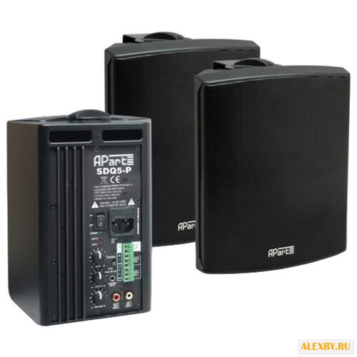 Акустическая система APart SDQ5P