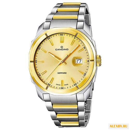Наручные часы CANDINO C4587_1