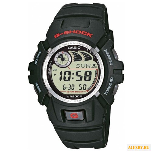 Наручные часы CASIO G-2900F-1V
