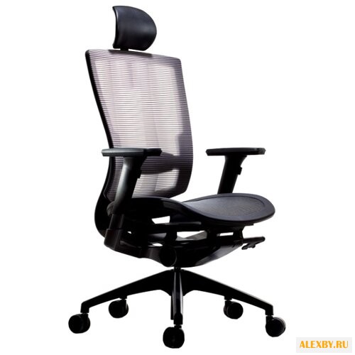 Компьютерное кресло DUOREST