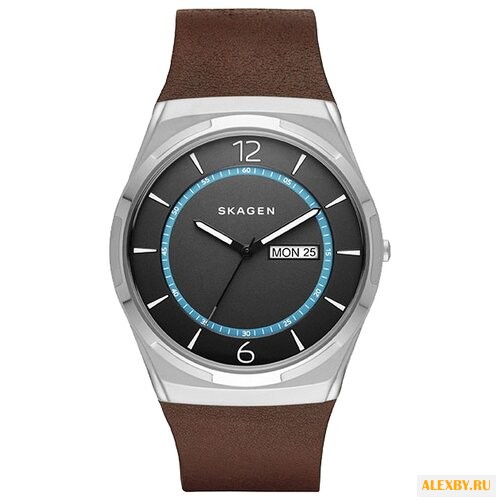 Наручные часы SKAGEN SKW6305