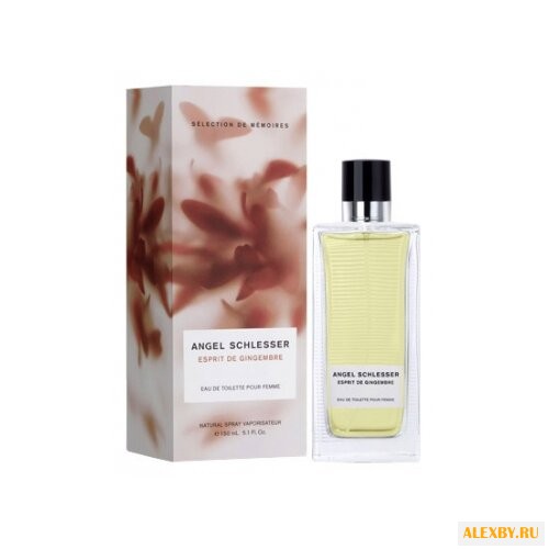 Angel Schlesser Esprit de