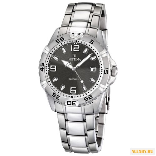 Наручные часы FESTINA F16636 2