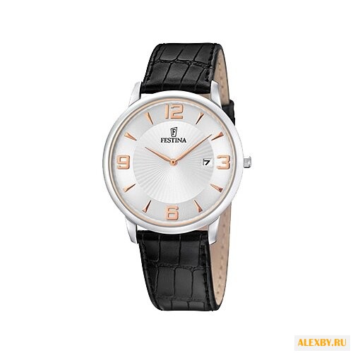 Наручные часы FESTINA F6806 3