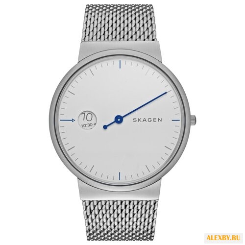 Наручные часы SKAGEN SKW6193
