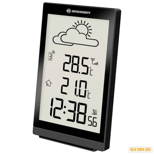 Термометр BRESSER TemeoTrend ST