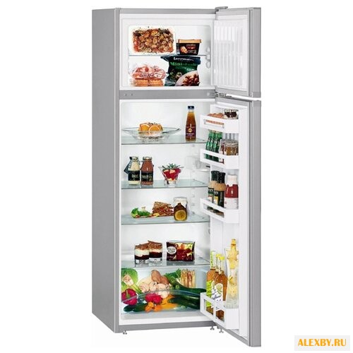 Холодильник Liebherr CTPsl 2921